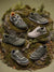 Olive Collection